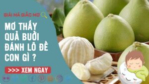 Mơ thấy quả bưởi đánh con gì? Giải mã giấc mơ về bưởi