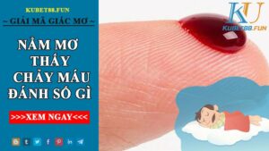 Mơ Thấy Chảy Máu Đánh Con Gì? Con Số Nào Phù Hợp Với Hoàn Cảnh Của Bạn?