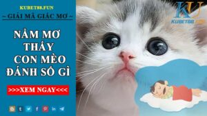 Lý Giải Con Mèo Số Mấy, Đánh Con Gì May Mắn Khi Mơ Thấy Mèo