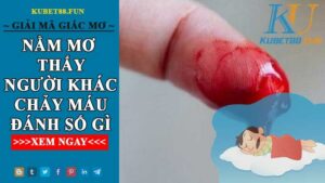 Điềm Báo Mơ Thấy Người Khác Chảy Máu Và Con Số Nên Đánh